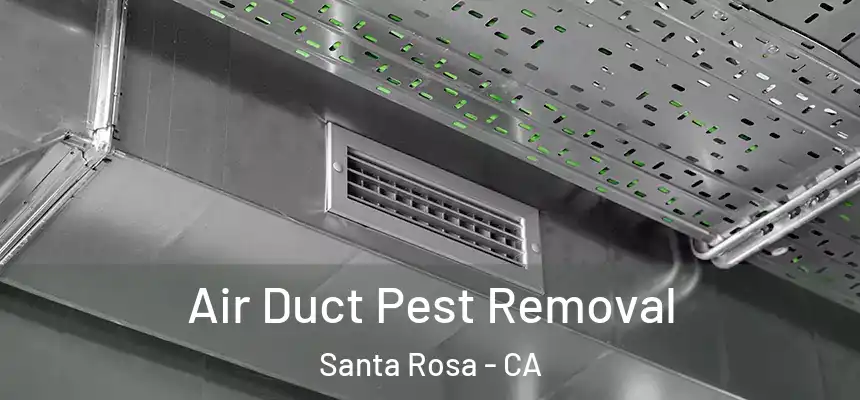  Air Duct Pest Removal Santa Rosa - CA