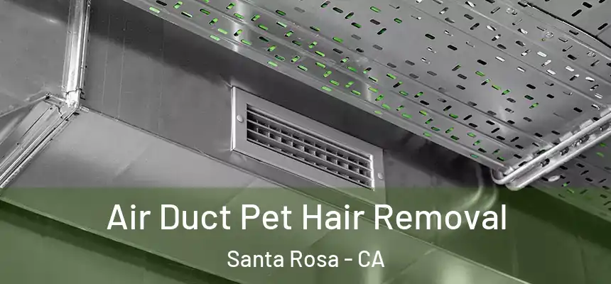 Air Duct Pet Hair Removal Santa Rosa - CA