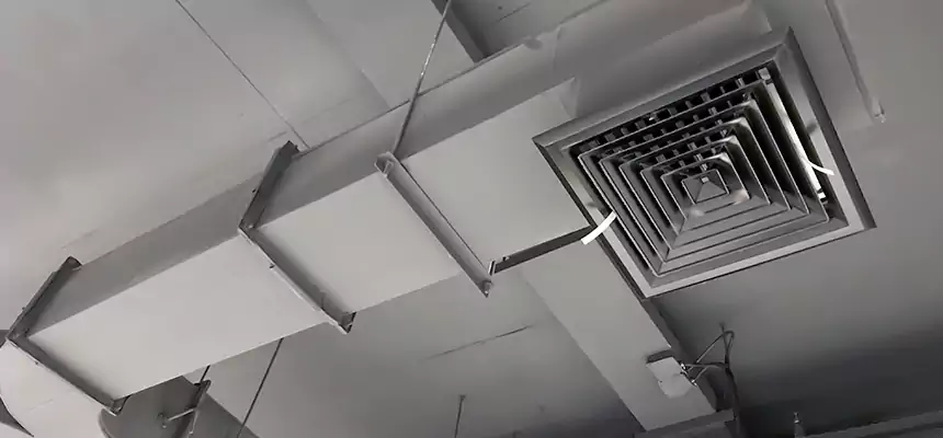 Restorative Allergy Relief Vent Cleaning – Coil, Blower & Housing Detail in Santa Rosa