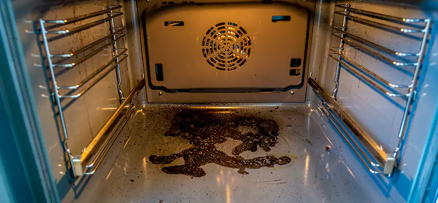 Our Dryer Vent Mold Cleaning Services in Santa Rosa, CA