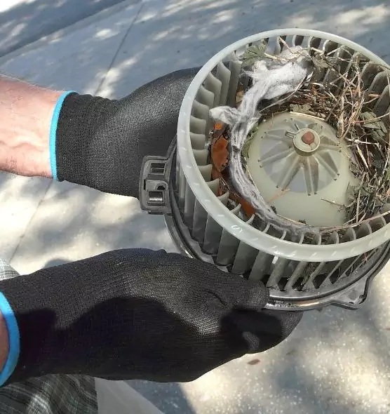 About Air Duct Mice Removal in Santa Rosa, CA