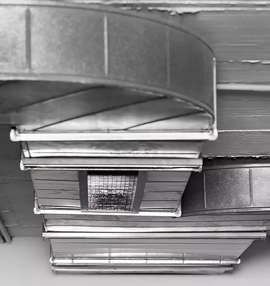 Professional Air Duct Pet Hair Removal in Santa Rosa, CA