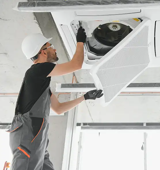 About Air Duct Rodent Removal in Santa Rosa, CA