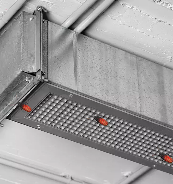 Affordable Insect Removal from Air Ducts in Santa Rosa, CA