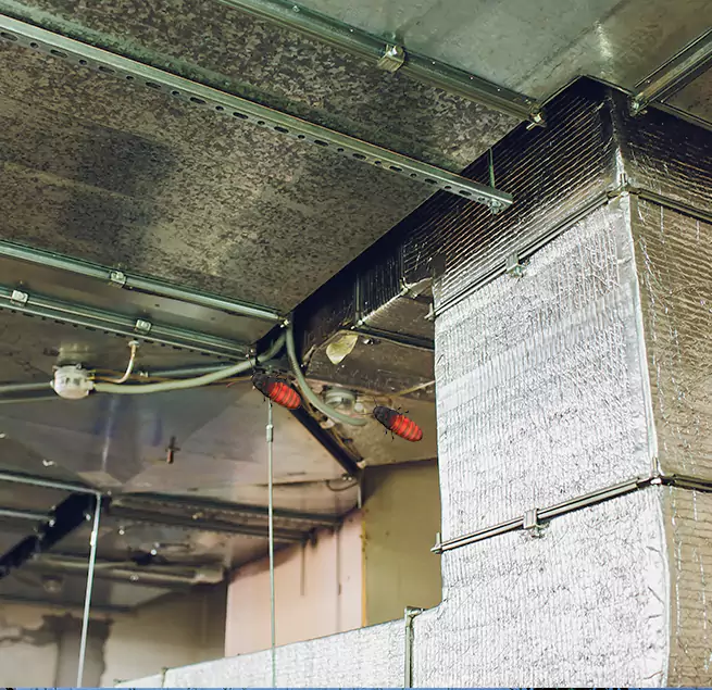 Why Homeowners & Businesses Trust Us in Santa Rosa, CA?