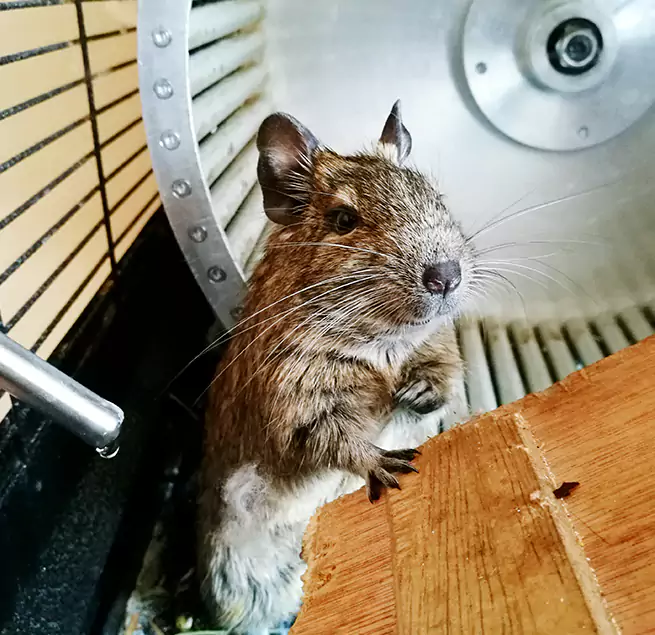 Why Homeowners & Businesses Trust Us Santa Rosa, CA?