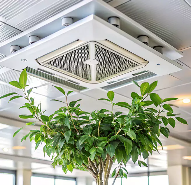 Why Homeowners & Businesses Trust Us in Santa Rosa, CA?