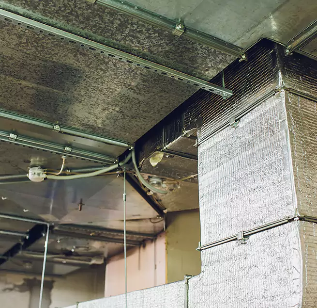 Why Homeowners & Businesses Trust Us in Santa Rosa, CA?